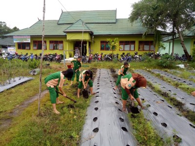 Persiapan Lahan 1