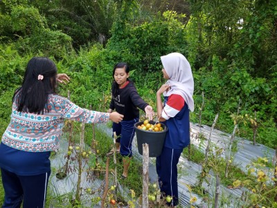 Kegiatan siswa ATPH SMKN 8 selama libur