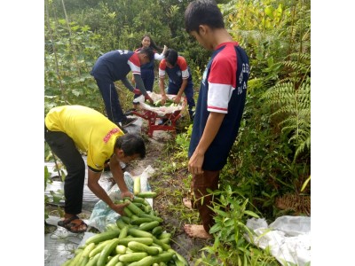 Pemanenan 5
