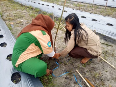 Persiapan Lahan 7