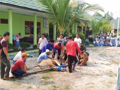 Penyembelihan Hewan Qurban  Idul Adha 1440 H-2019 14