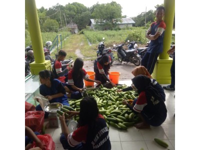 Pemanenan 6