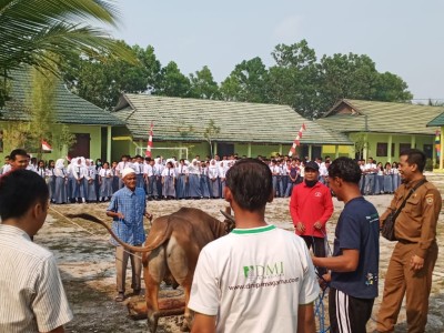 Penyembelihan Hewan Qurban  Idul Adha 1440 H-2019 18