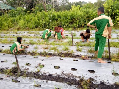 Persiapan Lahan 4