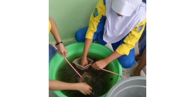 Kegiatan Jurusan APAT