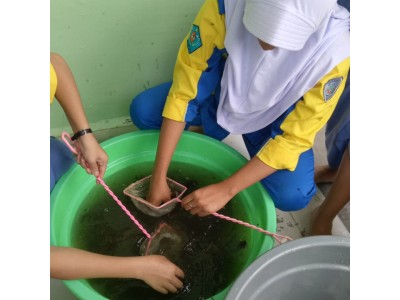 Praktek APAT 11