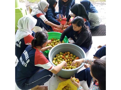 Kegiatan siswa ATPH SMKN 8 selama libur 2