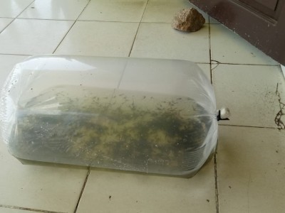 Unit Produksi Perikanan 2