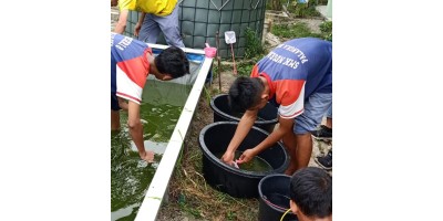 Kegiatan Praktik APAT - Grading Benih Ikan Okt 19