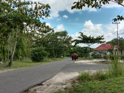 Napak Tilas GUDEP Dr. C.Mg Kusumo 2020 19