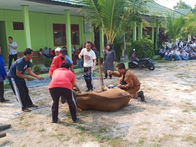 Penyembelihan Hewan Qurban  Idul Adha 1440 H-2019 22