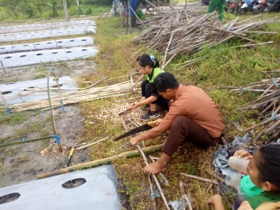 Persiapan Lahan 6