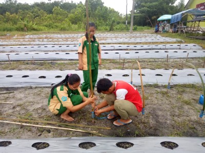 Persiapan Lahan 10