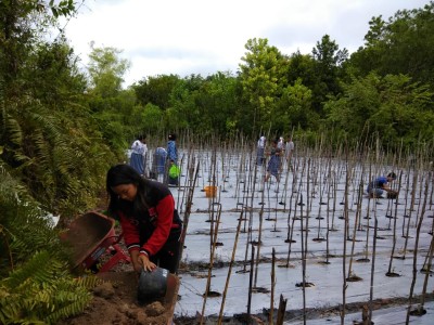 Proses Penanaman Bibit 2