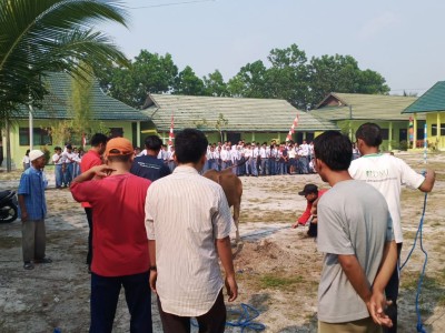 Penyembelihan Hewan Qurban  Idul Adha 1440 H-2019 23