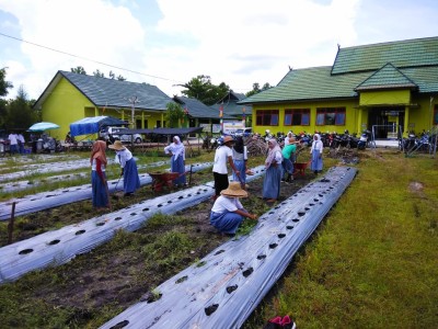 Persiapan Lahan 5